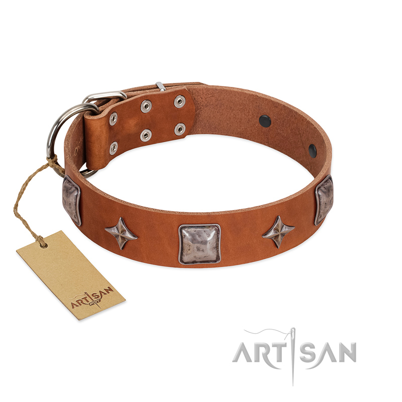 "Lucky Star" FDT Artisan Tan Leather Riesenschnauzer Collar with Silver-Like Embellishments