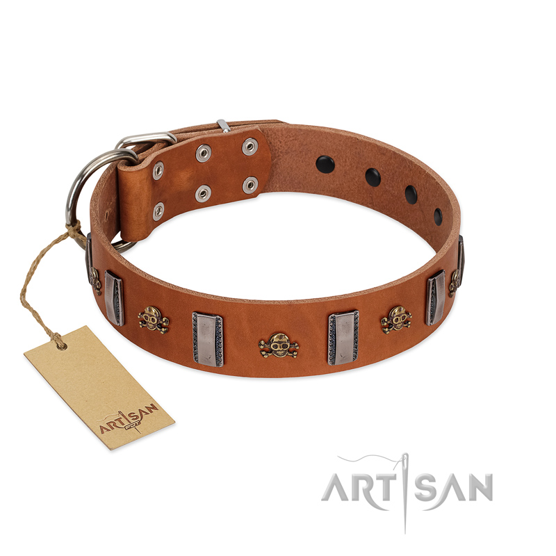 "Golden Crossbones" Handmade FDT Artisan Tan Leather Riesenschnauzer Collar with Plates and Skulls