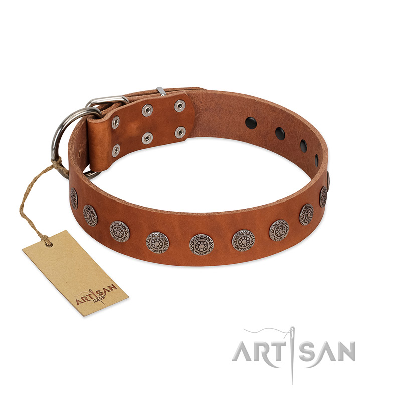 "Lucky Star" Handmade FDT Artisan Designer Tan Leather Riesenschnauzer Collar with Round Plates