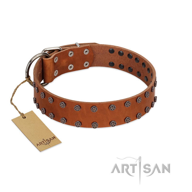 "Star Light" Stylish FDT Artisan Tan Leather Riesenschnauzer Collar with Silver-Like Studs