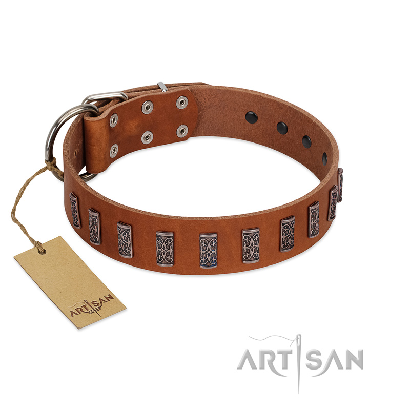 "Silver Century" Fashionable FDT Artisan Tan Leather Riesenschnauzer Collar with Silver-Like Plates