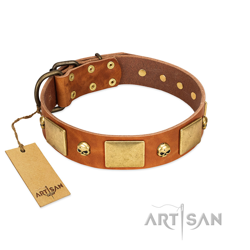 "Mutt The Daredevil" FDT Artisan Tan Leather Riesenschnauzer Collar with Old Bronze-like Skulls and Plates