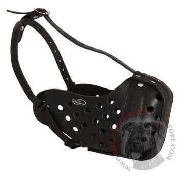 Training Leather Dog Muzzle for Riesenschnauzer