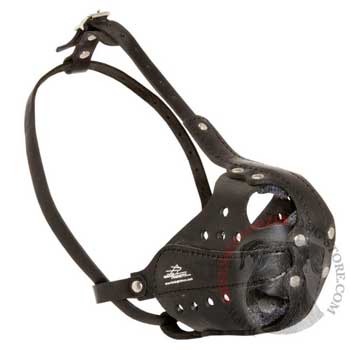 Riesenschnauzer Muzzle for Attack Training
