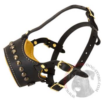 Padded Muzzle for Riesenschnauzer