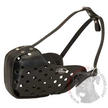 Riesenschnauzer Muzzle for Agitation Training