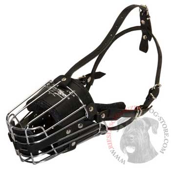 Metal Basket Riesenschnauzer Muzzle for Dog Walking Training