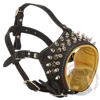 Walking Training Designer Black Dog Muzzle for Riesenschnauzer