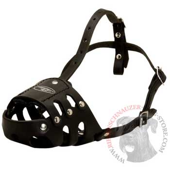Anti Barking Riesenschnauzer Muzzle Leather for Walking Dog