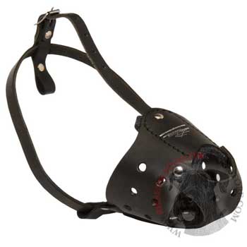Walking Leather Muzzle for Riesenschnauzer