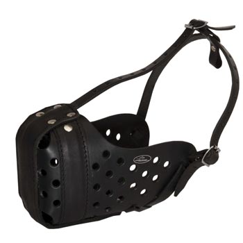Leather Dog Muzzle for Agitation Training