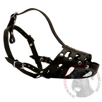 Leather Riesenschnauzer Well-Fitting Muzzle
