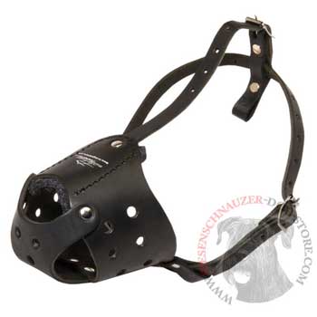 Light in Weight Anti-Barking Riesenschnauzer Muzzle