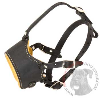 Leather Riesenschnauzer Muzzle for No Bark Training Walking