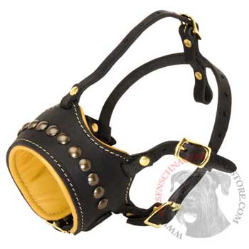 Riesenschnauzer Muzzle for Walking