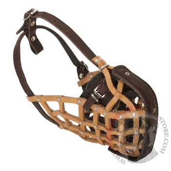 Riesenschnauzer Muzzle Leather Mesh for Walking and Training