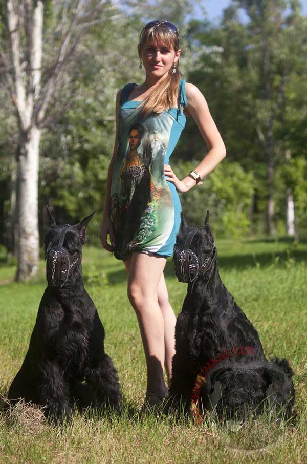 Glamorous Walking Riesenschnauzer Leather Muzzle with Extraordinary Painting
