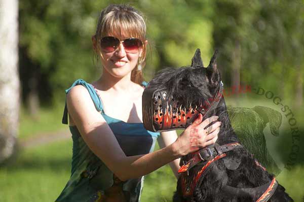 Bright Handpainted Leather Riesenschnauzer Muzzle for Effective Attack Training