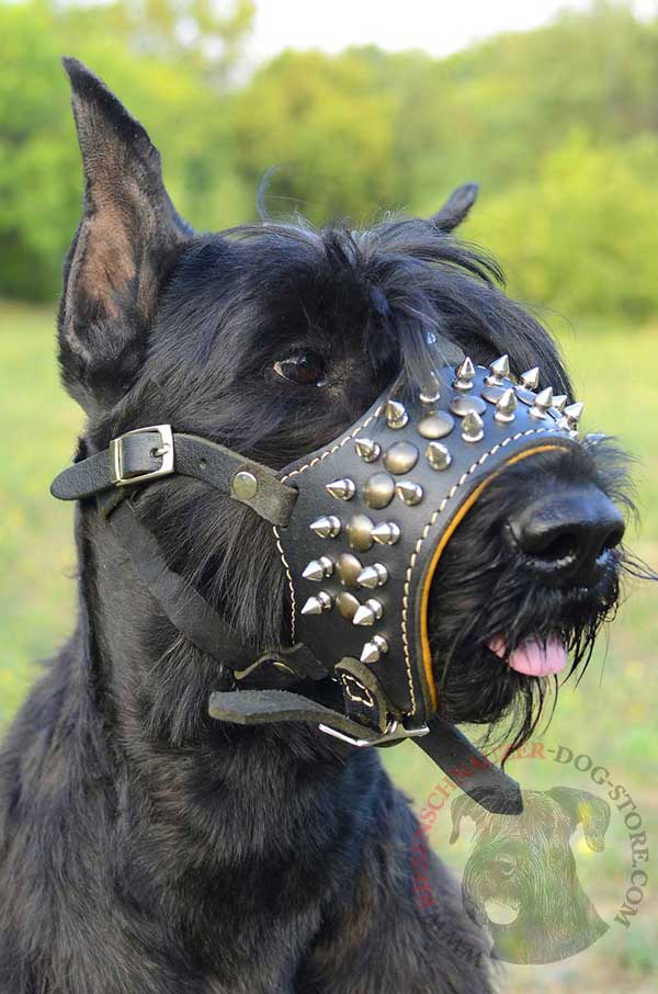 Riesenschnauzer Leather Muzzle with Comfortable Nappa Padding