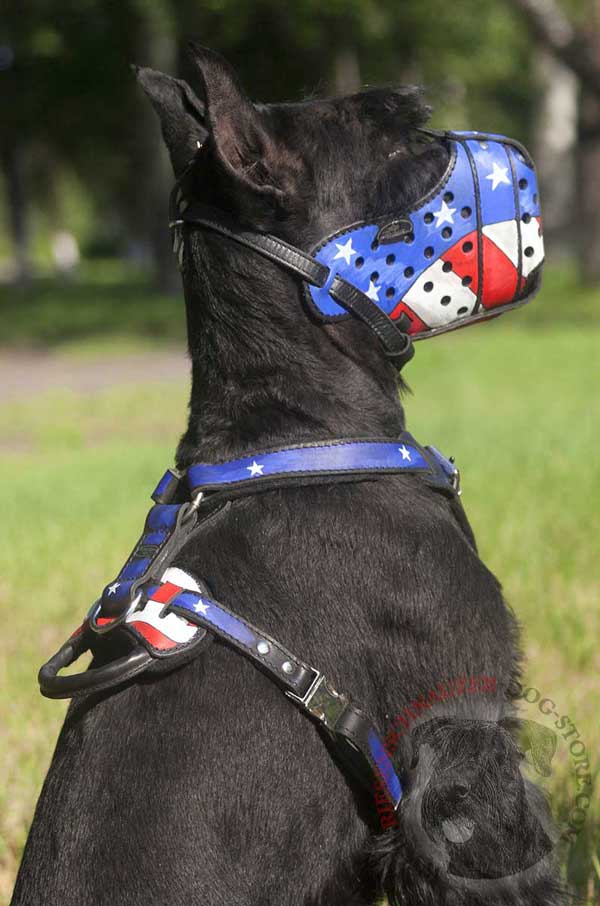 Riesenschnauzer Leather Painted Muzzle Adjusted with Durable Leather Straps