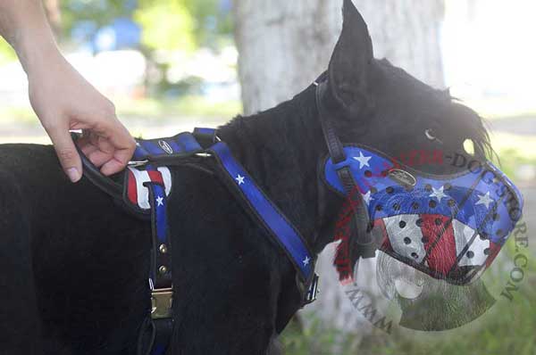 Bright Painted Walking and Training Riesenschnauzer Leather Muzzle