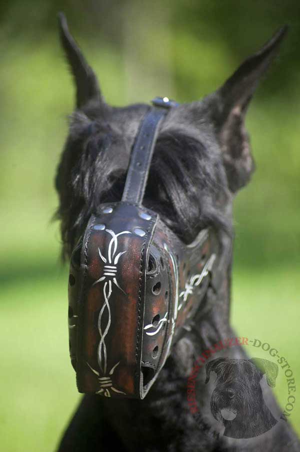 Durable Muzzle with Leather Covered Steel Bar for Riesenschnauzer Attack Training