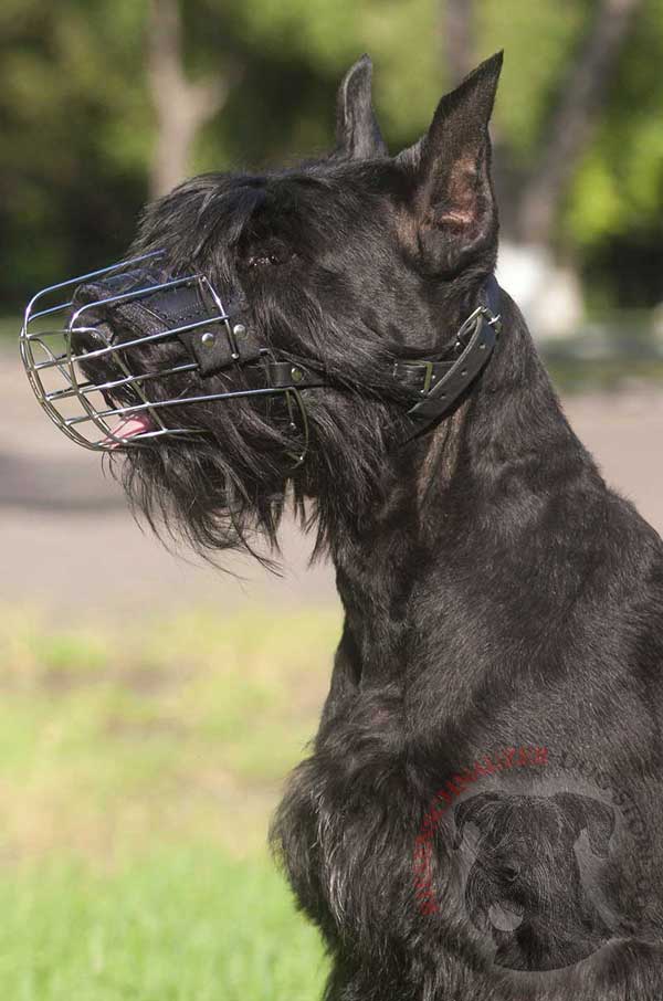 Air Ventilated Metal Cage Riesenschnauzer Muzzle