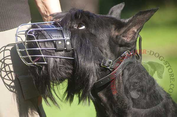Riesenschnauzer Metal Cage Muzzle with Soft Felt Padding
