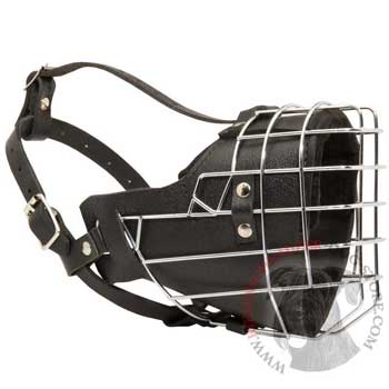 Padded on the Nose Riesenschnauzer Muzzle