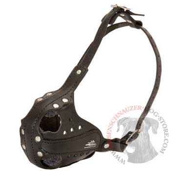 Sof Leather padded Riesenschnauzer Muzzle