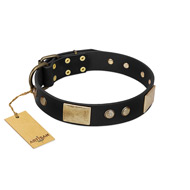 "Antique Gloss" FDT Artisan Black Leather Riesenschnauzer Collar with Bronze-like Plates and Small Studs