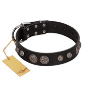 "Tricky Ricky" FDT Artisan Black Leather Riesenschnauzer Collar Adorned with Silver-Like Conchos