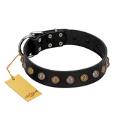 "Inky Prettification" FDT Artisan Black Leather Riesenschnauzer Collar with One Row of Studs
