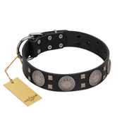 "Sun in Shining" Modern FDT Artisan Black Leather Riesenschnauzer Collar with Studs and Stars