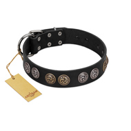 "Mister Exclusive" Designer FDT Artisan Black Leather Riesenschnauzer Collar with Medallions