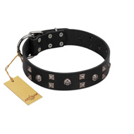 "Fire Eyes" Designer Handmade FDT Artisan Black Leather Riesenschnauzer Collar