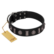 "Silver Spikes" Exclusive FDT Artisan Black Leather Riesenschnauzer Collar