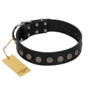 "Silent Star" Handmade FDT Artisan Designer Black Leather Riesenschnauzer Collar with Engraved Plates