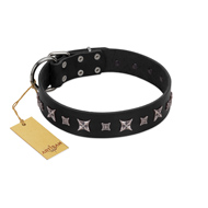 "Polar Lights" Designer FDT Artisan Black Leather Riesenschnauzer Collar with Silver-Like Studs