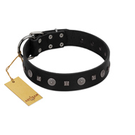 "Mr. Elegance" Designer FDT Artisan Black Leather Riesenschnauzer Collar with Silver-Like Studs