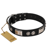 "Grand Wear" FDT Artisan Black Leather Riesenschnauzer Collar with Shining Plates and Spiked Studs