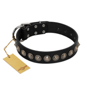 "Black Eagle" Handcrafted FDT Artisan Black Leather Riesenschnauzer Collar with Silver-Like Adornments