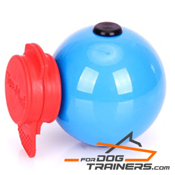 Blue dog ball for Training