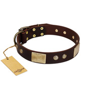 "Middle Age" FDT Artisan Brown Leather Riesenschnauzer Collar with Old Bronze-Plated Engraved Flowers and Large Plates
