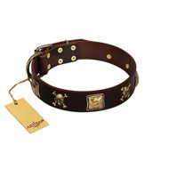 "Crazy Pirate" FDT Artisan Brown Leather Riesenschnauzer Collar with Old Bronze-Plated Skulls and Plates