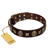 "Captain Hook" FDT Artisan Brown Leather Riesenschnauzer Collar with Stars and Skulls