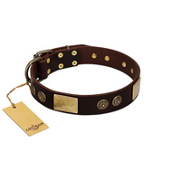 "Bow-Wow Effect" FDT Artisan Brown Leather Riesenschnauzer Collar with Plates and Ornate Studs