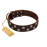 "Shadow Warrior" FDT Artisan Mystic Brown Leather Riesenschnauzer Collar with Runes