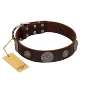 "Flashy Woof" FDT Artisan Brown Leather Riesenschnauzer Collar with Chrome Plated Brooches