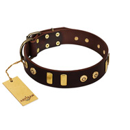 "Lord of Dogs" FDT Artisan Brown Leather Riesenschnauzer Collar with Old Bronze-like Dotted Studs and Tiles
